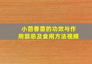 小茴香苗的功效与作用禁忌及食用方法视频