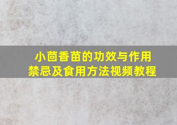 小茴香苗的功效与作用禁忌及食用方法视频教程