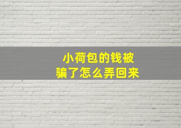 小荷包的钱被骗了怎么弄回来