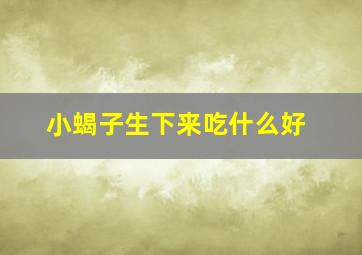 小蝎子生下来吃什么好