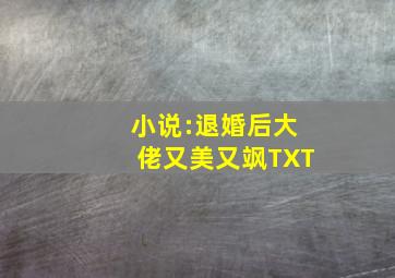 小说:退婚后大佬又美又飒TXT