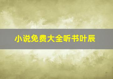 小说免费大全听书叶辰