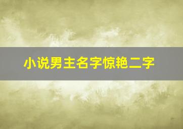 小说男主名字惊艳二字