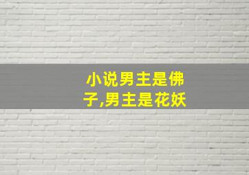 小说男主是佛子,男主是花妖