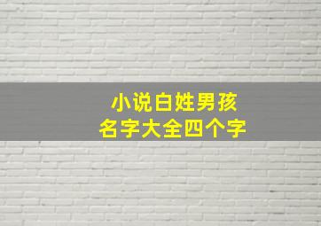 小说白姓男孩名字大全四个字