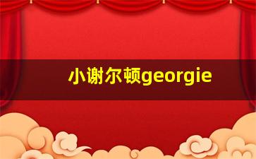 小谢尔顿georgie