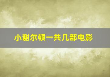 小谢尔顿一共几部电影