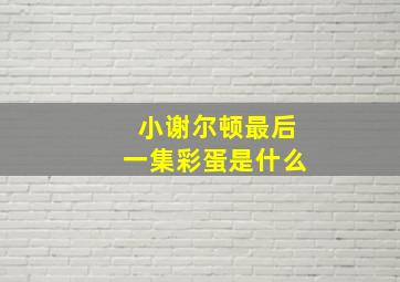 小谢尔顿最后一集彩蛋是什么