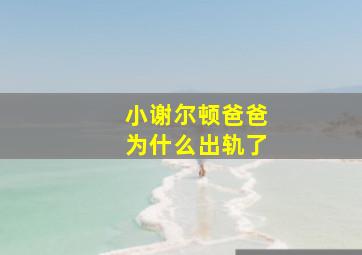 小谢尔顿爸爸为什么出轨了