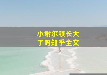 小谢尔顿长大了吗知乎全文