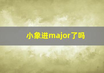 小象进major了吗