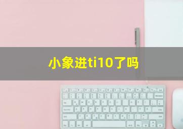 小象进ti10了吗