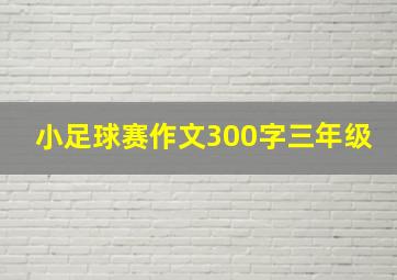 小足球赛作文300字三年级