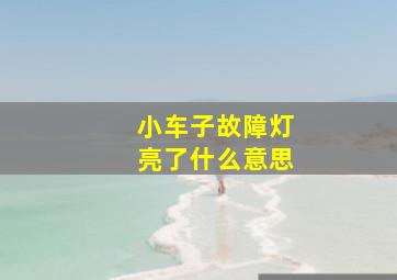 小车子故障灯亮了什么意思