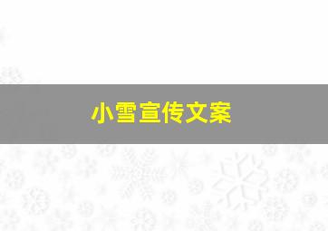 小雪宣传文案