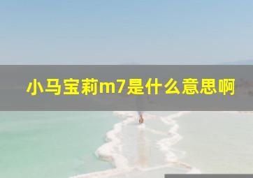 小马宝莉m7是什么意思啊