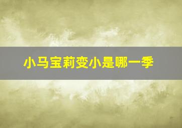 小马宝莉变小是哪一季