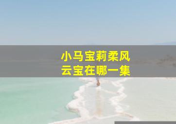 小马宝莉柔风云宝在哪一集