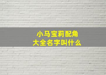 小马宝莉配角大全名字叫什么