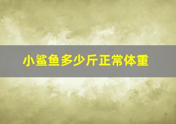 小鲨鱼多少斤正常体重