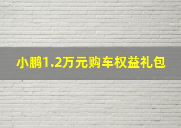 小鹏1.2万元购车权益礼包