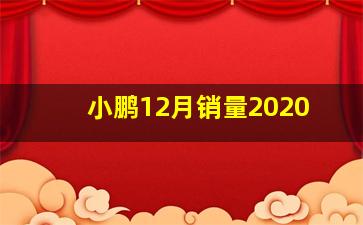 小鹏12月销量2020