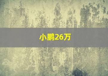 小鹏26万