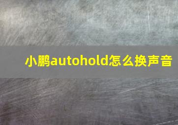 小鹏autohold怎么换声音