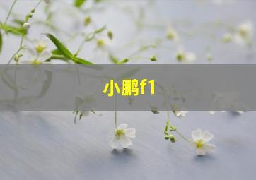 小鹏f1