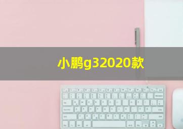 小鹏g32020款