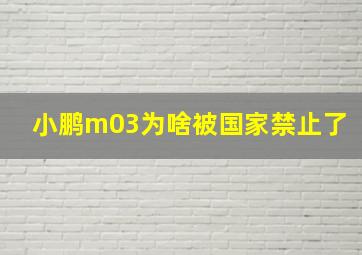 小鹏m03为啥被国家禁止了