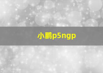 小鹏p5ngp