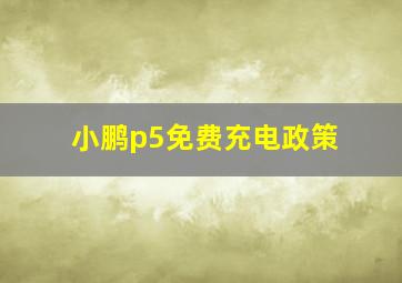 小鹏p5免费充电政策