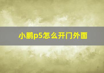 小鹏p5怎么开门外面