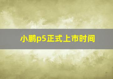 小鹏p5正式上市时间