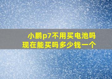 小鹏p7不用买电池吗现在能买吗多少钱一个