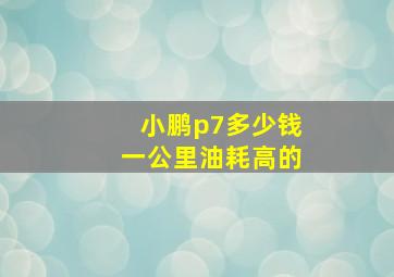 小鹏p7多少钱一公里油耗高的