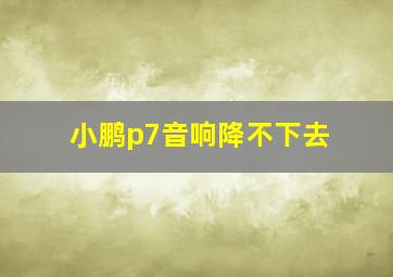 小鹏p7音响降不下去