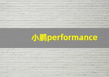 小鹏performance