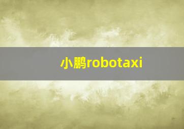 小鹏robotaxi