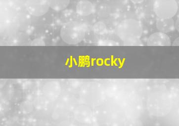 小鹏rocky