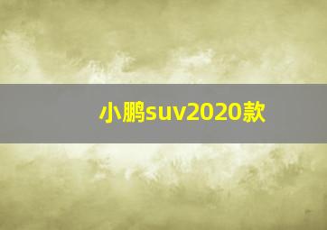 小鹏suv2020款