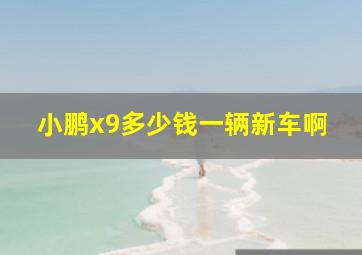 小鹏x9多少钱一辆新车啊