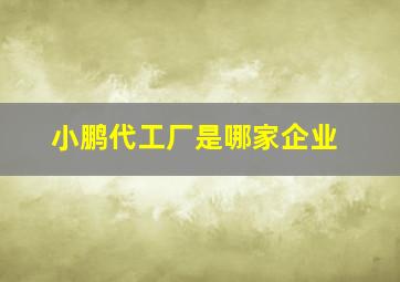 小鹏代工厂是哪家企业