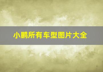 小鹏所有车型图片大全