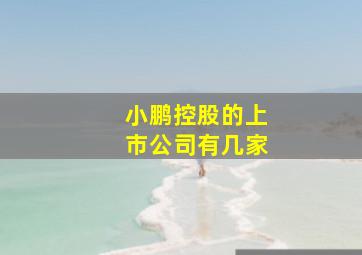 小鹏控股的上市公司有几家