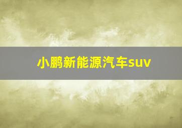 小鹏新能源汽车suv