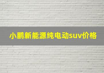 小鹏新能源纯电动suv价格