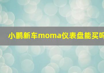 小鹏新车moma仪表盘能买吗