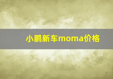 小鹏新车moma价格